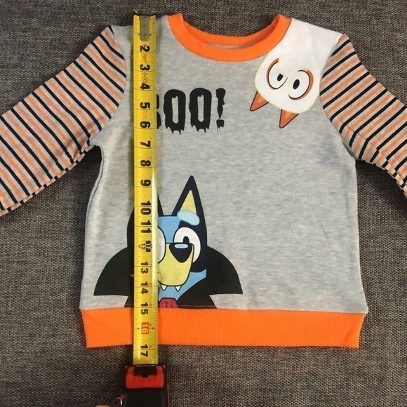 MOOSE Toddler Boys Bluey Bingo Halloween Fleece Sweatshirt and Bottom Set Grey 4 - Picture 14 of 16